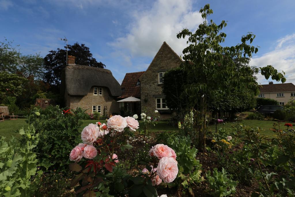 Thatch Cottage Lacock Exteriör bild