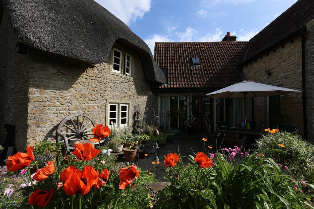 Thatch Cottage Lacock Exteriör bild